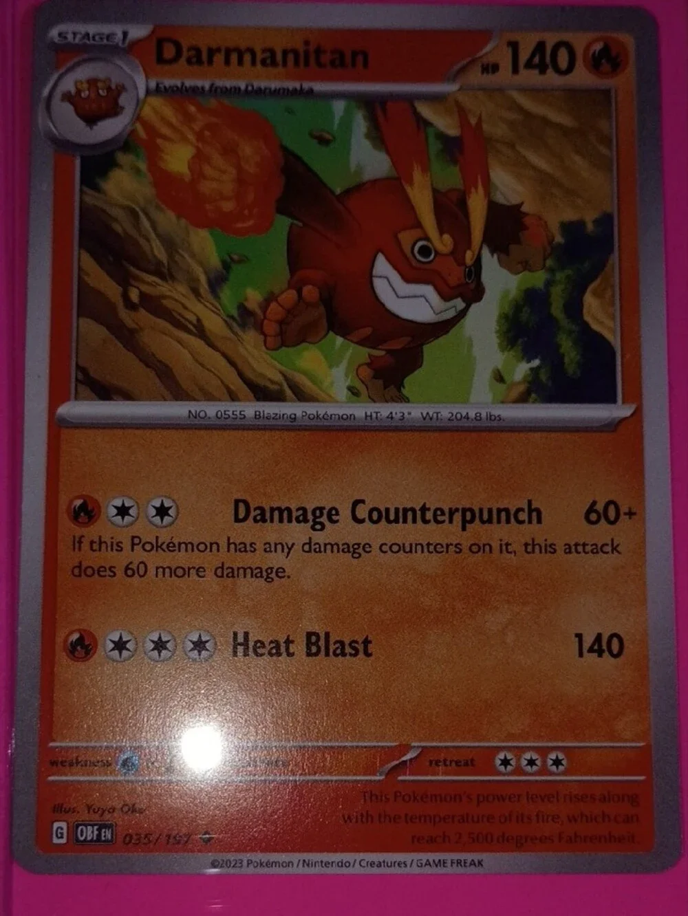 Pokémon Card Lot